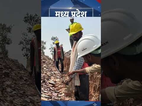 MP Breaking News: Bhopal Scientists Create India First Swine Fever Vaccine MP Breaking News: Bhopal Scientists Create India First Swine Fever Vaccine
