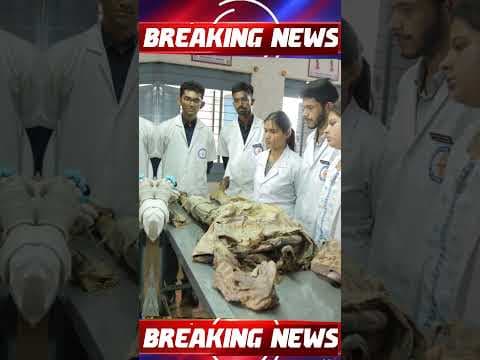 Madhya Pradesh Big News Update 27% OBC Reservation, 11,000 Teachers Promotion, MBBS Seats Increased Madhya Pradesh Big News Update 27% OBC Reservation, 11,000 Teachers Promotion, MBBS Seats Increased