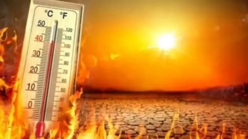 Heatwave: मध्य प्रदेश में आग उगल रहा 'नौतपा', 16 शहरों में पारा 44°C पार, अगले 3 दिनों आंधी-बारिश के आसार Heatwave: मध्य प्रदेश में आग उगल रहा 'नौतपा', 16 शहरों में पारा 44°C पार, अगले 3 दिनों आंधी-बारिश के आसार