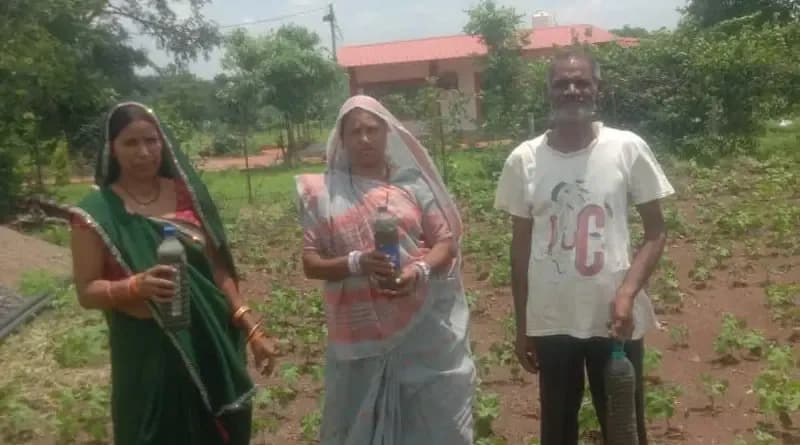 ₹40 हजार की लागत घटकर ₹5-10 हजार हुई: जबलपुर की महिला किसान ने प्राकृतिक खेती से बचाए लाखों रुपये ₹40 हजार की लागत घटकर ₹5-10 हजार हुई: जबलपुर की महिला किसान ने प्राकृतिक खेती से बचाए लाखों रुपये