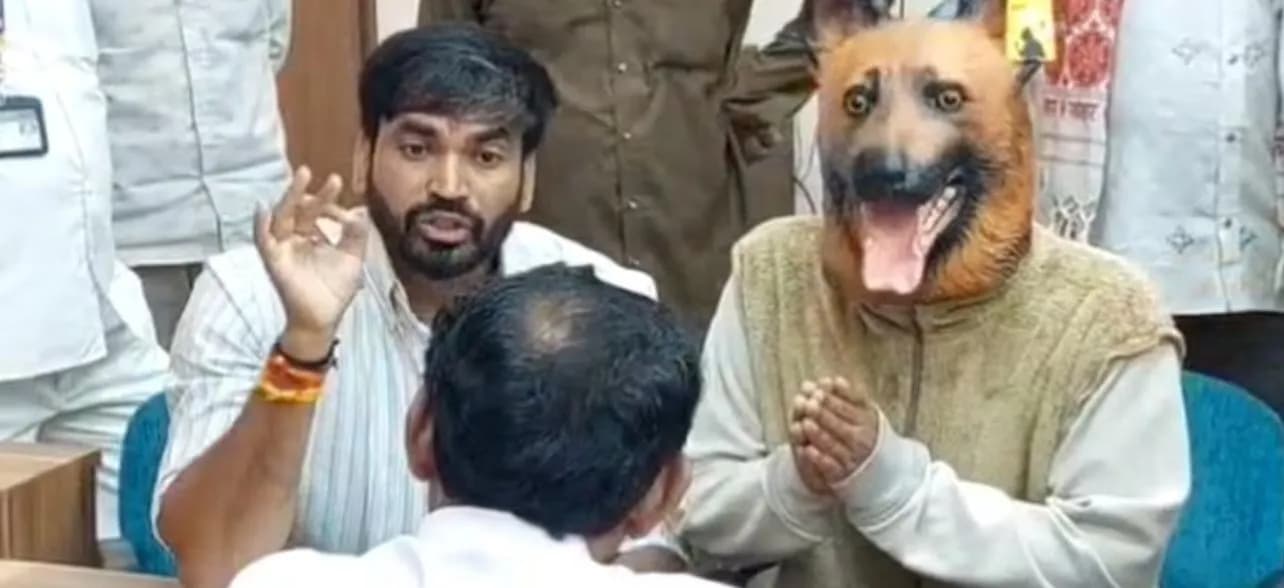 खंडवा में आवारा कुत्तों का आतंक: कुत्ते की ड्रेस पहनाकर जनसुनवाई में पहुंचा व्यक्ति, नसबंदी पर उठे सवाल खंडवा में आवारा कुत्तों का आतंक: कुत्ते की ड्रेस पहनाकर जनसुनवाई में पहुंचा व्यक्ति, नसबंदी पर उठे सवाल