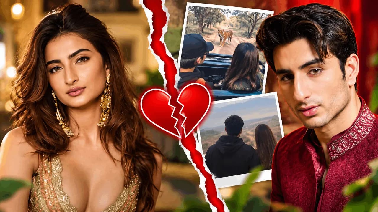 Ibrahim Ali Khan-Palak Tiwari Breakup: 3 साल बाद टूटा रिश्ता? रणथंभौर ट्रिप के बाद आई अलग होने की खबर Ibrahim Ali Khan-Palak Tiwari Breakup: 3 साल बाद टूटा रिश्ता? रणथंभौर ट्रिप के बाद आई अलग होने की खबर